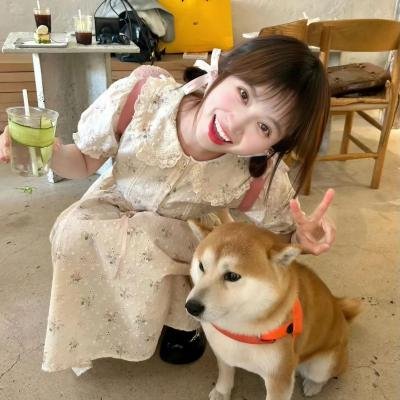 火红的杜鹃花