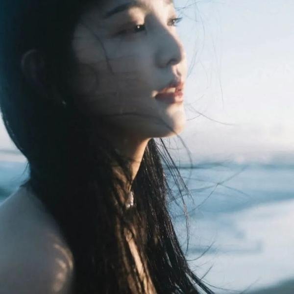 决胜机密